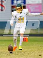 Photo from the gallery "Pine Forest @ Terry Sanford"