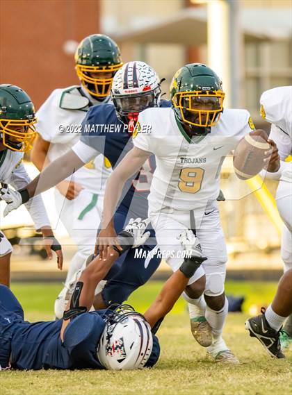 Thumbnail 3 in Pine Forest @ Terry Sanford photogallery.