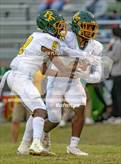 Photo from the gallery "Pine Forest @ Terry Sanford"