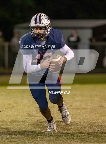 Thumbnail 3 in Pine Forest @ Terry Sanford photogallery.