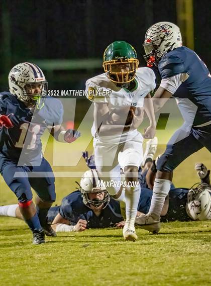 Thumbnail 1 in Pine Forest @ Terry Sanford photogallery.