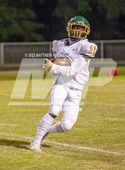 Thumbnail 3 in Pine Forest @ Terry Sanford photogallery.
