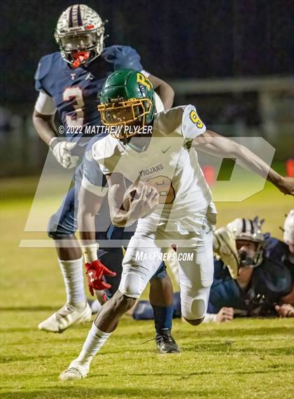 Thumbnail 3 in Pine Forest @ Terry Sanford photogallery.
