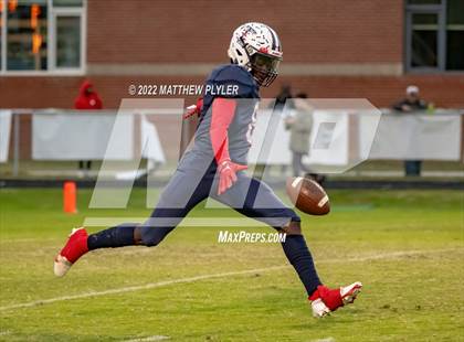 Thumbnail 1 in Pine Forest @ Terry Sanford photogallery.