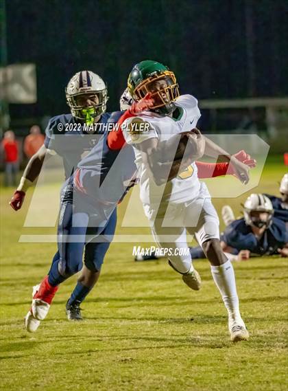 Thumbnail 1 in Pine Forest @ Terry Sanford photogallery.