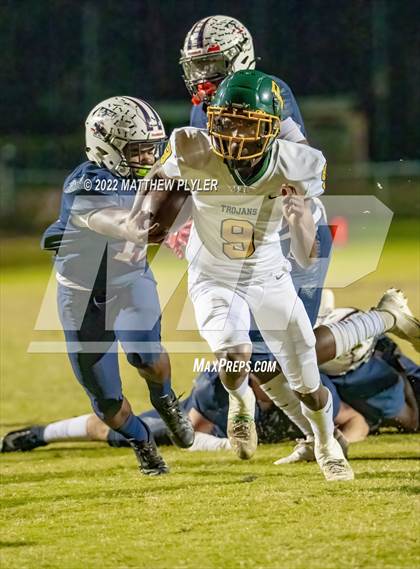 Thumbnail 2 in Pine Forest @ Terry Sanford photogallery.