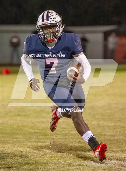 Thumbnail 3 in Pine Forest @ Terry Sanford photogallery.