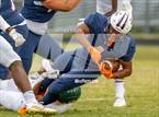 Photo from the gallery "Pine Forest @ Terry Sanford"