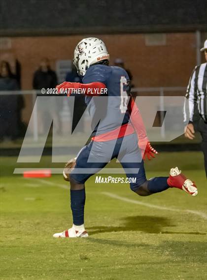 Thumbnail 1 in Pine Forest @ Terry Sanford photogallery.