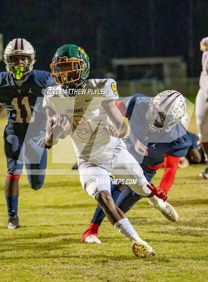 Thumbnail 3 in Pine Forest @ Terry Sanford photogallery.