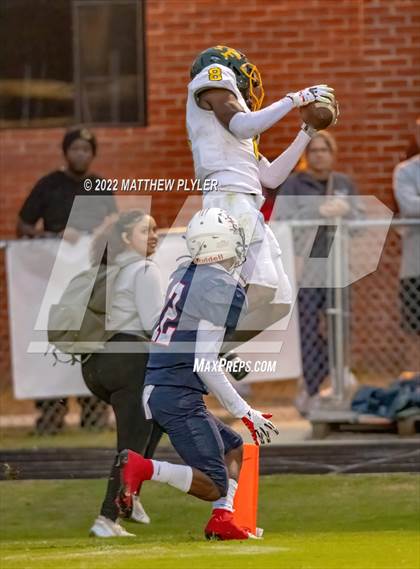 Thumbnail 1 in Pine Forest @ Terry Sanford photogallery.