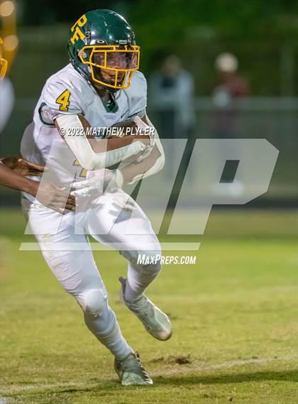Thumbnail 3 in Pine Forest @ Terry Sanford photogallery.