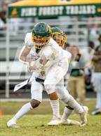Photo from the gallery "Pine Forest @ Terry Sanford"