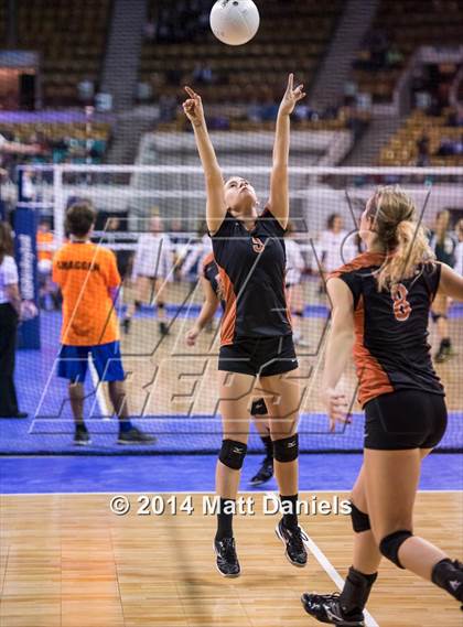 Thumbnail 1 in Ponderosa vs. Mead (CHSAA 4A Playoff) photogallery.