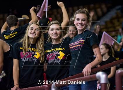 Thumbnail 2 in Ponderosa vs. Mead (CHSAA 4A Playoff) photogallery.