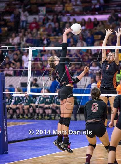 Thumbnail 2 in Ponderosa vs. Mead (CHSAA 4A Playoff) photogallery.