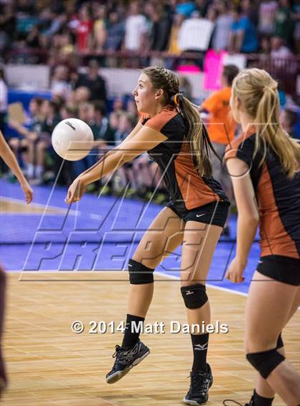 Thumbnail 1 in Ponderosa vs. Mead (CHSAA 4A Playoff) photogallery.