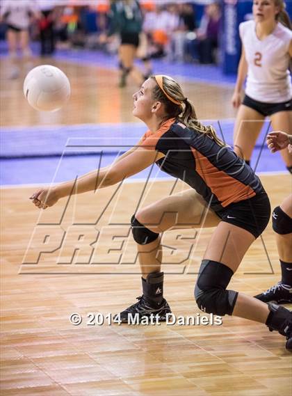 Thumbnail 1 in Ponderosa vs. Mead (CHSAA 4A Playoff) photogallery.