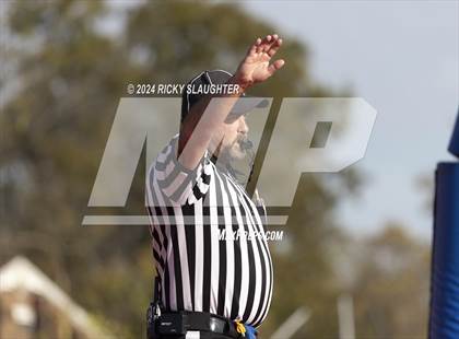 Thumbnail 3 in Springfield @ East St. Louis(IHSA 6A first round) photogallery.
