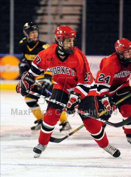 Thumbnail 3 in Amity Regional vs Branford (Sound Tigers Harbor Yard Series) photogallery.