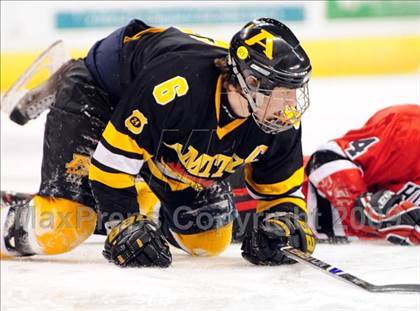 Thumbnail 2 in Amity Regional vs Branford (Sound Tigers Harbor Yard Series) photogallery.
