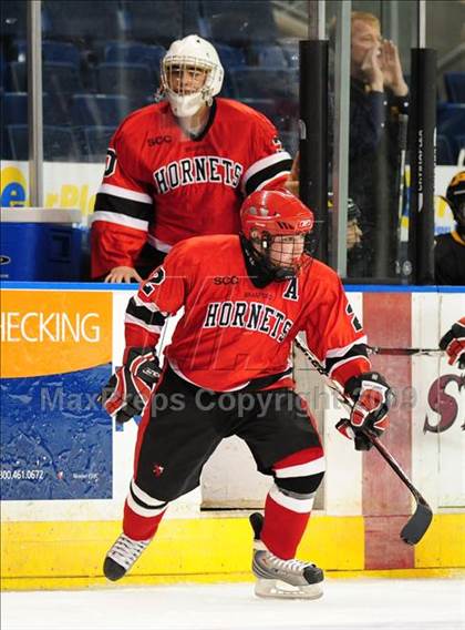 Thumbnail 2 in Amity Regional vs Branford (Sound Tigers Harbor Yard Series) photogallery.