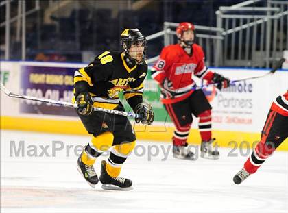 Thumbnail 2 in Amity Regional vs Branford (Sound Tigers Harbor Yard Series) photogallery.