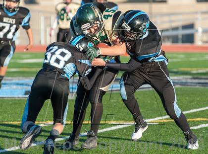 Thumbnail 3 in Falcon @ Vista Ridge photogallery.