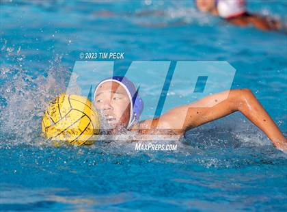 Thumbnail 3 in Troy @ Valencia photogallery.