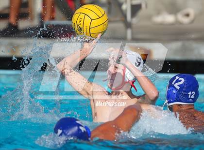 Thumbnail 1 in Troy @ Valencia photogallery.