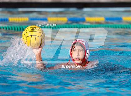 Thumbnail 3 in Troy @ Valencia photogallery.