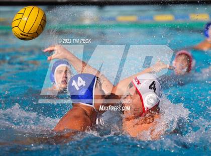 Thumbnail 1 in Troy @ Valencia photogallery.
