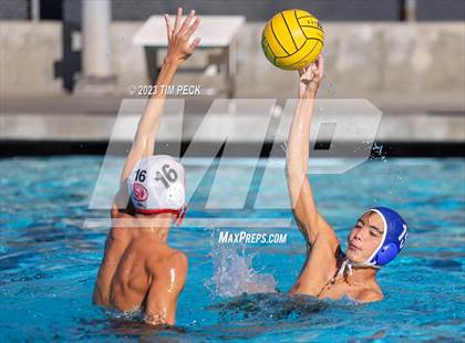 Thumbnail 1 in Troy @ Valencia photogallery.
