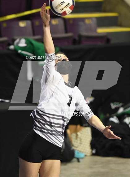 Thumbnail 1 in Otis @ Fleming (CHSAA 1A Playoff) photogallery.