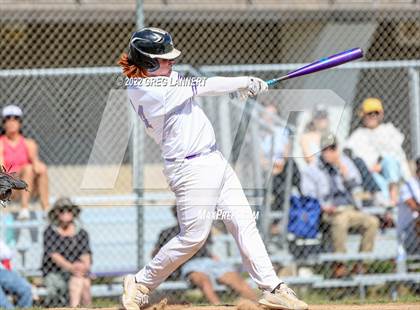 Thumbnail 2 in Vacaville @ Petaluma photogallery.