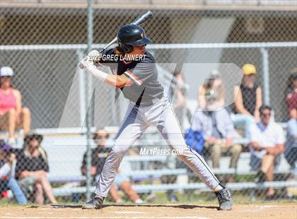 Thumbnail 3 in Vacaville @ Petaluma photogallery.