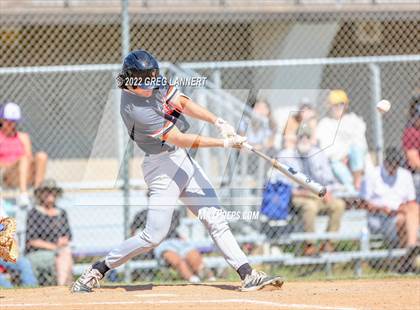 Thumbnail 2 in Vacaville @ Petaluma photogallery.