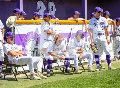 Thumbnail 3 in Vacaville @ Petaluma photogallery.
