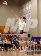 Photo from the gallery "Brentwood Academy @ Father Ryan"