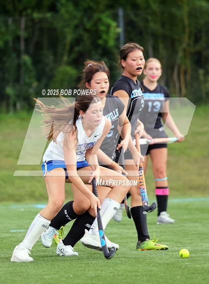 Thumbnail 3 in West Potomac @ Centreville photogallery.