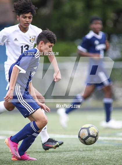 Thumbnail 1 in Hylton @ Potomac photogallery.