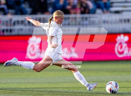 Thumbnail 3 in Mountain Crest vs. Timpanogos (UHSAA 4A Final) photogallery.
