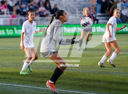Thumbnail 3 in Mountain Crest vs. Timpanogos (UHSAA 4A Final) photogallery.