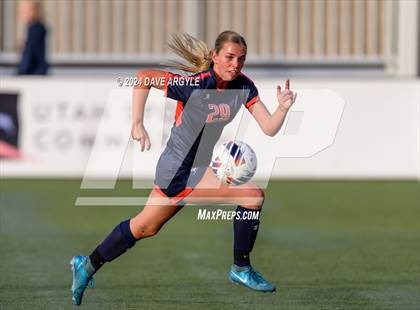Thumbnail 3 in Mountain Crest vs. Timpanogos (UHSAA 4A Final) photogallery.