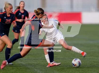 Thumbnail 3 in Mountain Crest vs. Timpanogos (UHSAA 4A Final) photogallery.