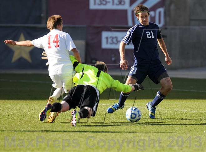 null - Photo 11