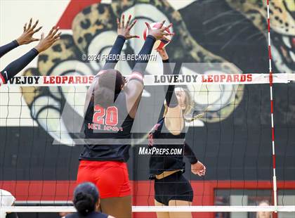 Thumbnail 2 in Melissa @ Lovejoy photogallery.
