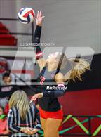 Photo from the gallery "Melissa @ Lovejoy"