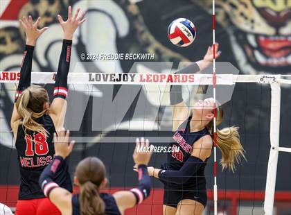 Thumbnail 3 in Melissa @ Lovejoy photogallery.