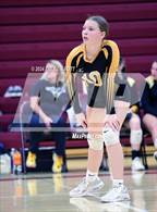 Photo from the gallery "Honeoye Falls-Lima @ Mendon"